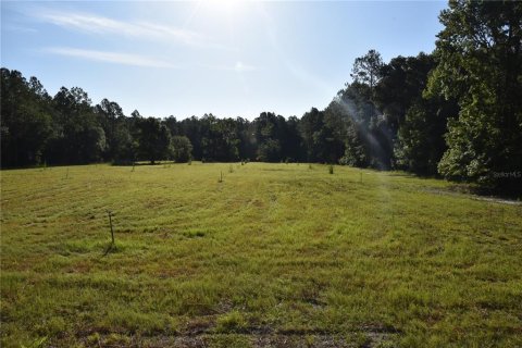 Land in Gainesville, Florida № 1806658 - photo 5