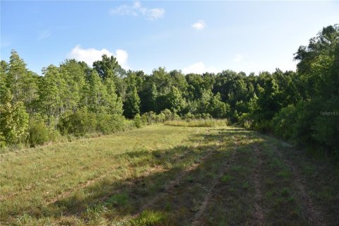 Land in Gainesville, Florida № 1806658 - photo 11