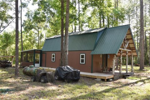Land in Gainesville, Florida № 1806658 - photo 2