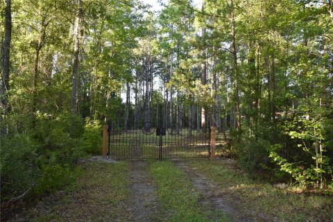 Land in Gainesville, Florida № 1806658 - photo 3