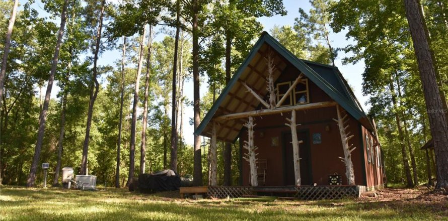 Land in Gainesville, Florida № 1806658