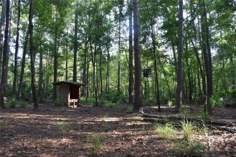 Land in Gainesville, Florida № 1806658 - photo 18