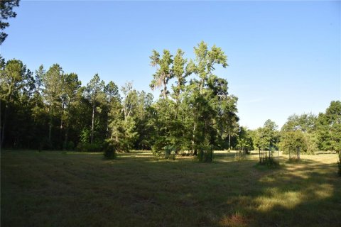 Land in Gainesville, Florida № 1806658 - photo 12