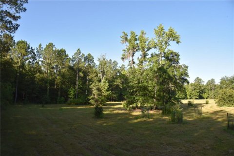 Land in Gainesville, Florida № 1806658 - photo 13