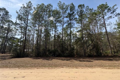 Land in Keystone Heights, Florida № 2118515