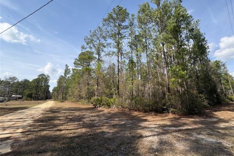 Terrain à vendre à Keystone Heights, Floride № 2118515 - photo 4
