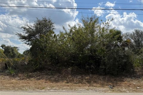 Terreno en Lehigh Acres, Florida № 2159381