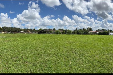 Commercial property in Homestead, Florida № 1891318 - photo 3