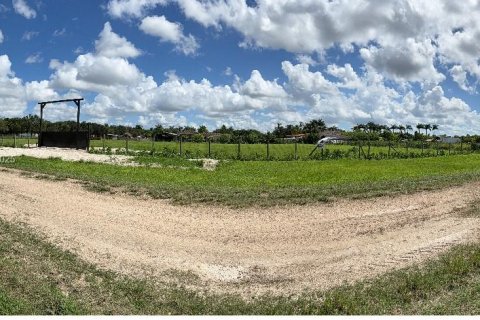 Commercial property in Homestead, Florida № 1891318 - photo 7