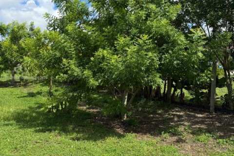 Commercial property in Homestead, Florida № 1891318 - photo 5