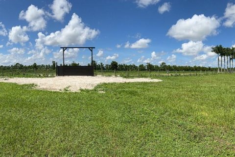 Commercial property in Homestead, Florida № 1891318 - photo 6