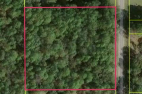 Terreno en Homosassa, Florida № 2217340