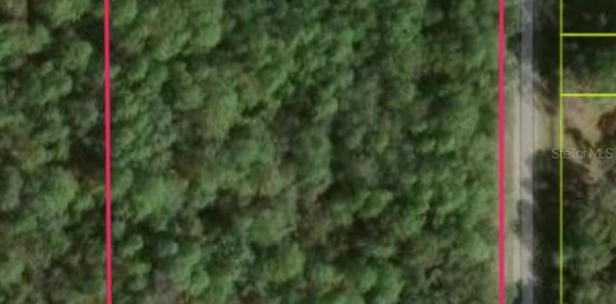 Terrain à Homosassa, Floride № 2217340