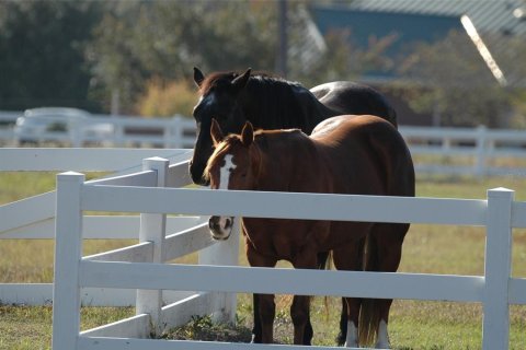 Land in Jacksonville, Florida № 1874016 - photo 12