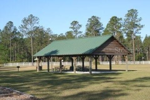 Land in Jacksonville, Florida № 1874016 - photo 13