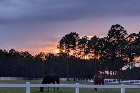 Land in Jacksonville, Florida № 1874016 - photo 17