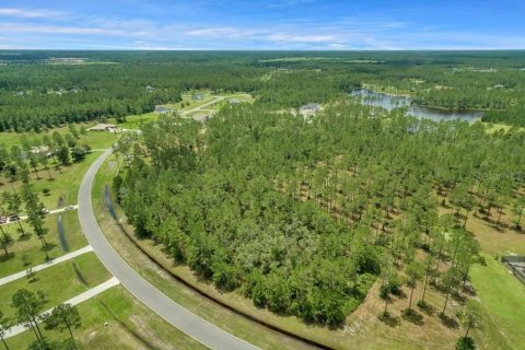 Land in Jacksonville, Florida № 1874016 - photo 2