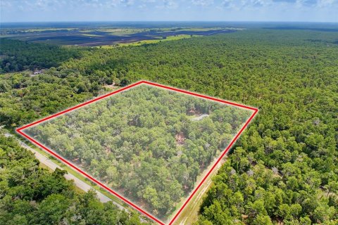 House in Brooksville, Florida 4 bedrooms, 231.51 sq.m. № 2258740 - photo 4