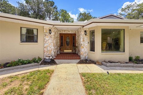 House in Brooksville, Florida 4 bedrooms, 231.51 sq.m. № 2258740 - photo 5