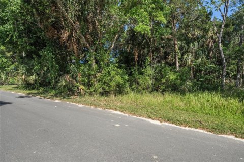 Terreno en venta en Homosassa, Florida № 1286458 - foto 2