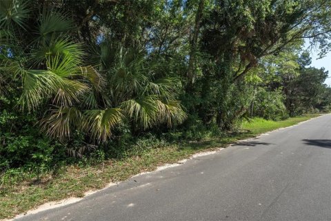 Terreno en venta en Homosassa, Florida № 1286458 - foto 1