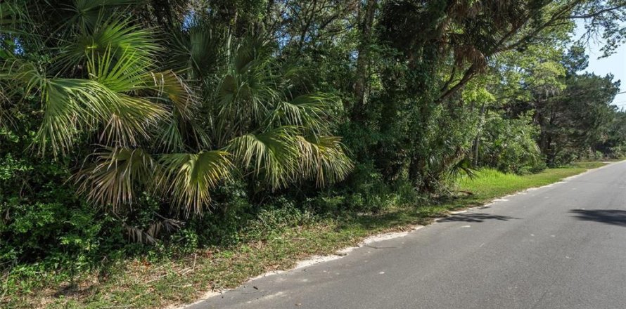 Terreno en Homosassa, Florida № 1286458