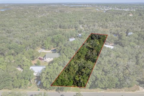 Terreno en venta en Homosassa, Florida № 1286458 - foto 3