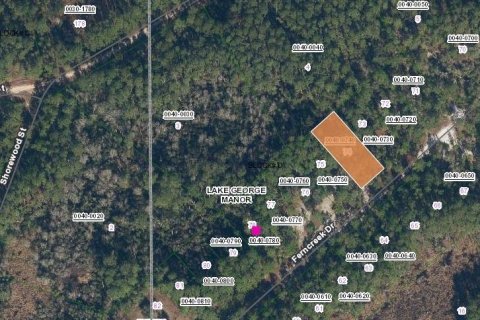 Land in Georgetown, Florida № 2160316 - photo 2