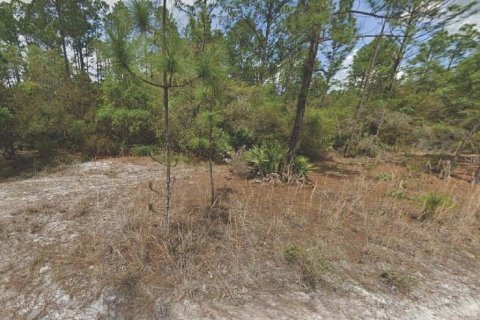 Land in Georgetown, Florida № 2160316