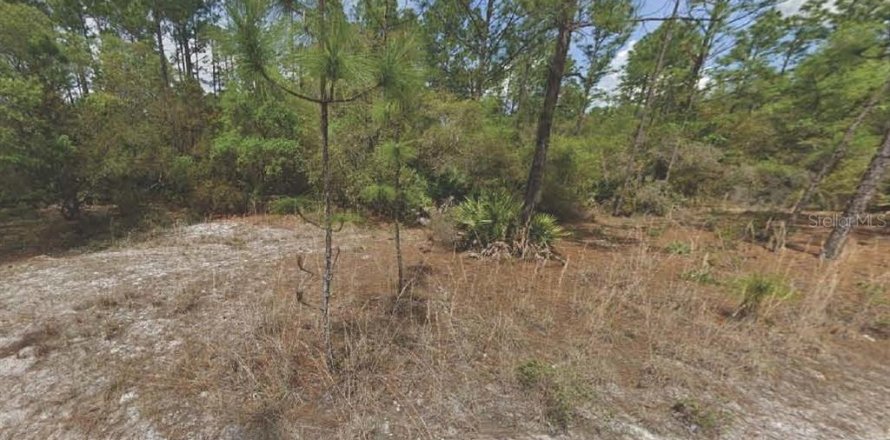 Land in Georgetown, Florida № 2160316
