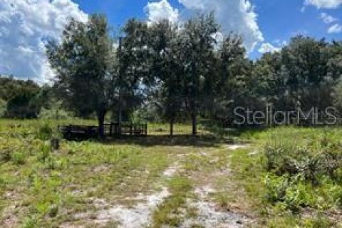 Terrain à Mims, Floride № 2208383
