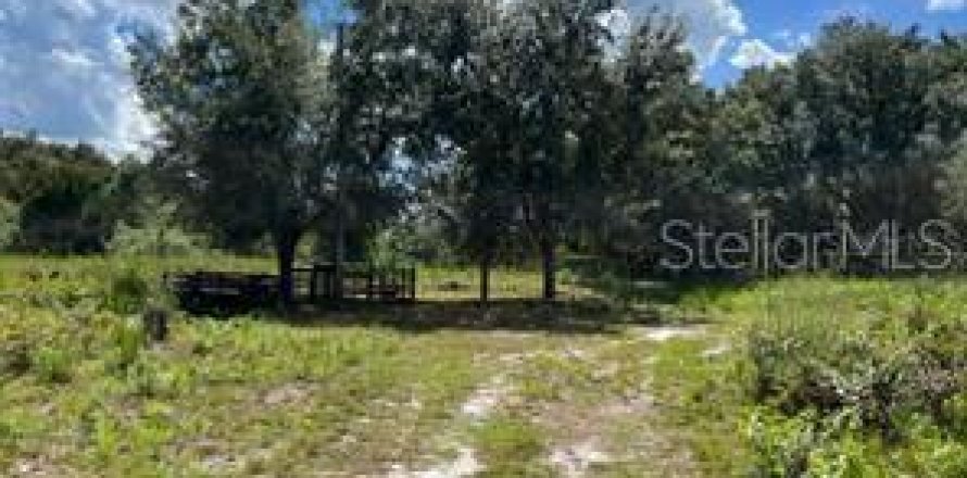 Terrain à Mims, Floride № 2208383