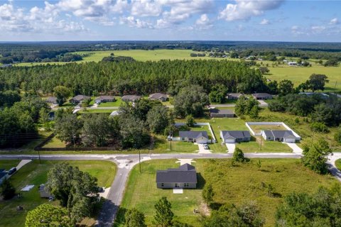 Villa ou maison à vendre à Ocklawaha, Floride: 3 chambres, 122.54 m2 № 1915760 - photo 17