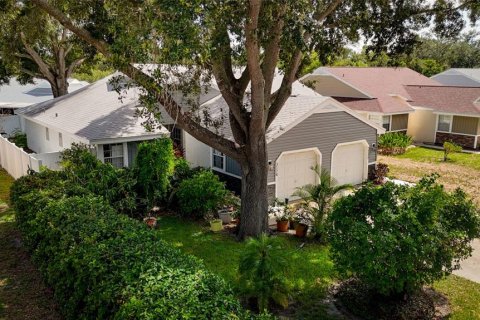 House in Palm Harbor, Florida 2 bedrooms, 79.9 sq.m. № 2230863