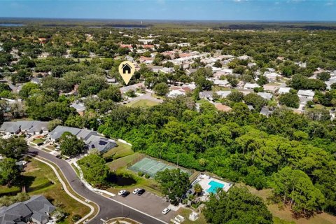 House in Palm Harbor, Florida 2 bedrooms, 79.9 sq.m. № 2230863 - photo 6