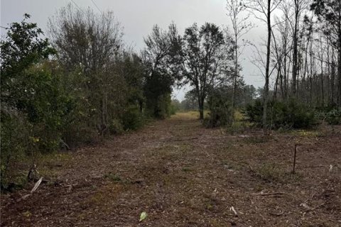 Land in Frostproof, Florida № 2212352 - photo 6