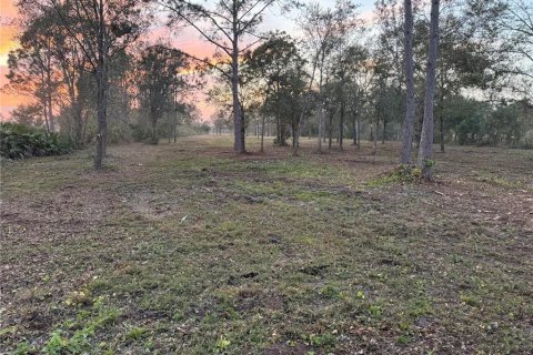 Land in Frostproof, Florida № 2212352