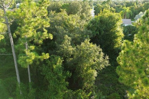 Land in North Port, Florida № 2229016 - photo 2