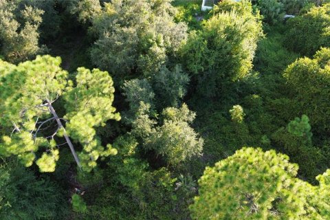 Land in North Port, Florida № 2229016 - photo 5