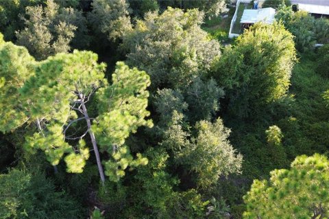 Land in North Port, Florida № 2229016 - photo 3
