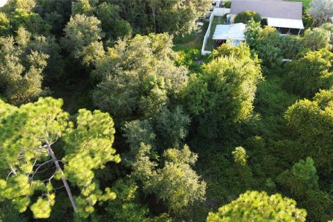 Land in North Port, Florida № 2229016 - photo 4
