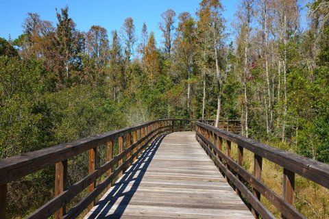 Casa en venta en Land O' Lakes, Florida, 4 dormitorios, 245.91 m2 № 1776893 - foto 30