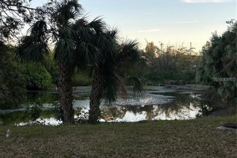 Copropriété à louer à Clearwater, Floride: 2 chambres, 80.82 m2 № 2167830 - photo 24