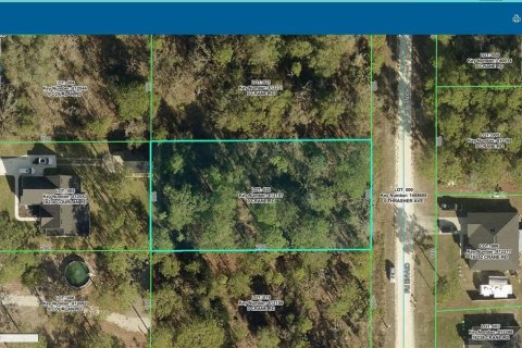 Terreno en Weeki Wachee, Florida № 2206041