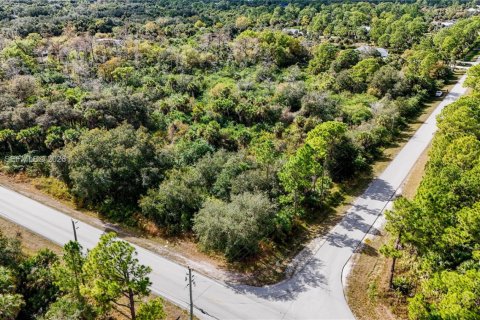 Terrain à vendre à Naples, Floride № 1978077 - photo 8