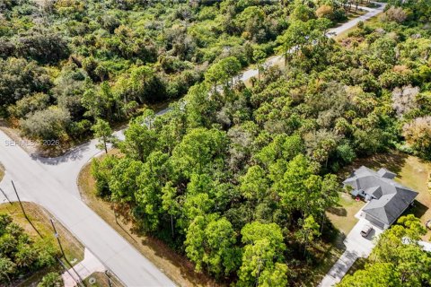 Terrain à vendre à Naples, Floride № 1978077 - photo 7