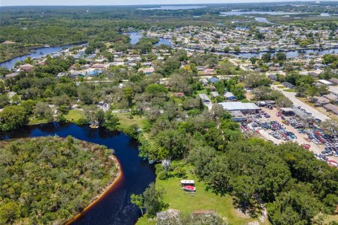 Land in Holiday, Florida № 1838920 - photo 15