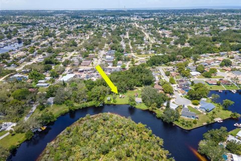 Land in Holiday, Florida № 1838920 - photo 24