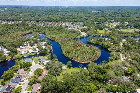 Land in Holiday, Florida № 1838920 - photo 21