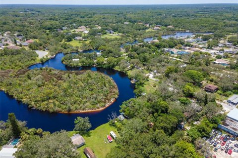 Land in Holiday, Florida № 1838920 - photo 17